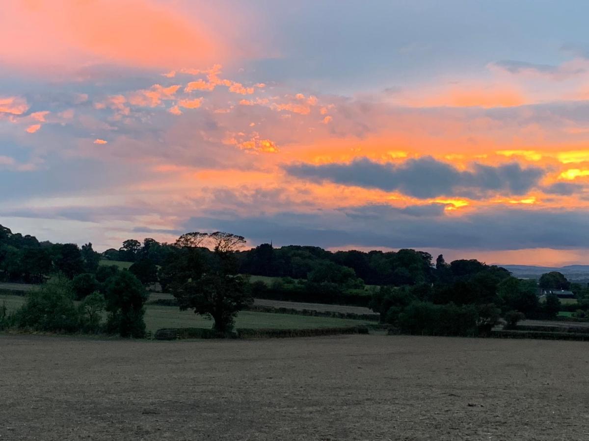 Grinshill Farmhouse Studio Near Shrewsbury מראה חיצוני תמונה