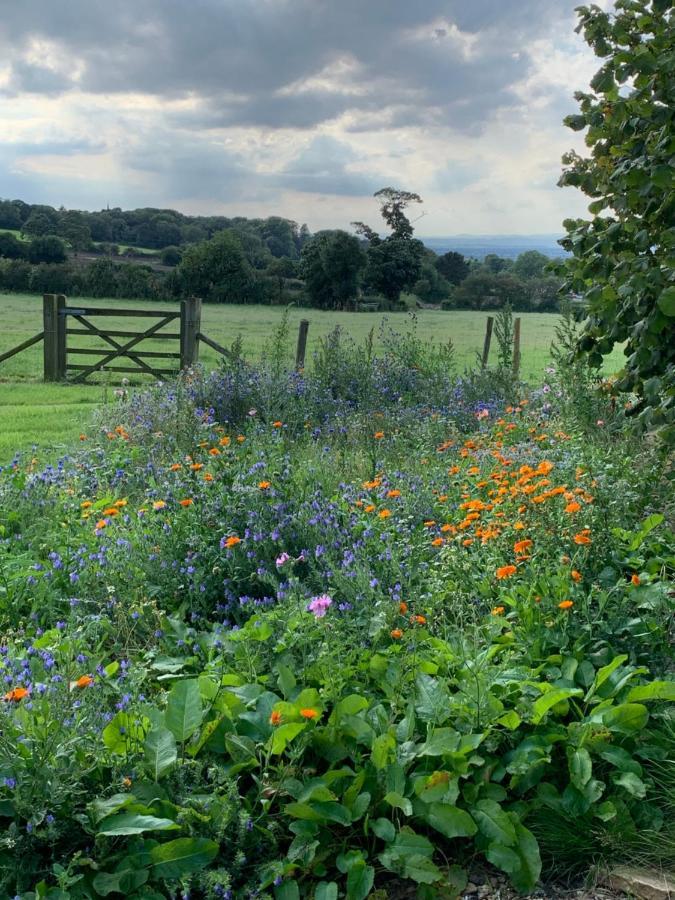 Grinshill Farmhouse Studio Near Shrewsbury מראה חיצוני תמונה